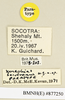 CollectionObject 1571112; 76483db2-65b0-4a9f-b392-8e5728cb94c7: labels (paratype). (CollectionObject).