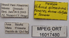 CollectionObject 1596729; 026bf8ba-2f00-4a5a-8276-00e70f1e4340, MPEG16017480: labels (paratype). (CollectionObject).