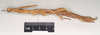 CollectionObject 1563693; NHMUK(SF IMPORT DUPLICATE) BMNH(E) #845046, 0aadf9f9-6a65-4285-8648-134f3f43faa8: copyright Natural History Museum, London. female, lateral view (holotype). (CollectionObject).